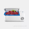 Automotive Equipment indelB electric car refrigerator 12L cooler boxes H12 Factory